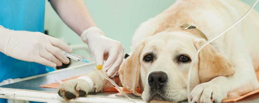 Dow Jones 30 Industrial 
							
								Index , DJIA visual data 2